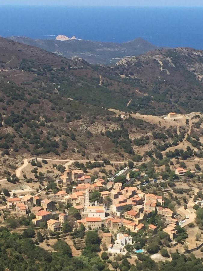 Villa Grand Confort A 500M De La Plage De Lozari Palasca  Exteriér fotografie