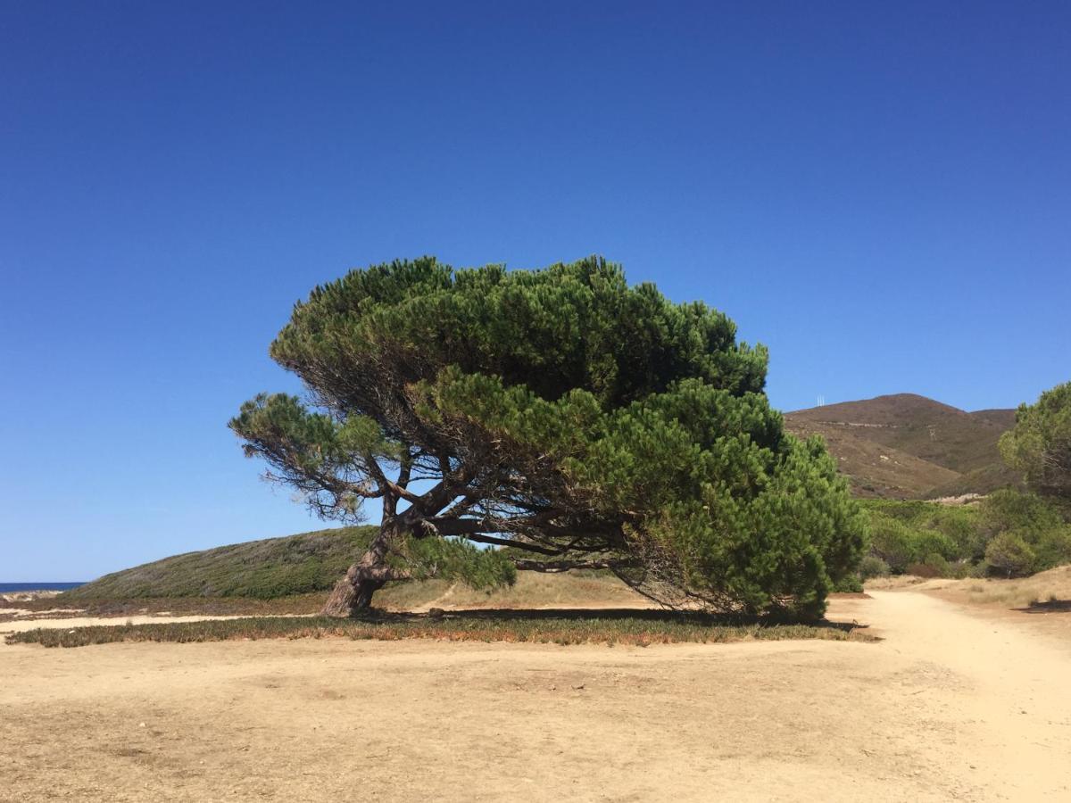 Villa Grand Confort A 500M De La Plage De Lozari Palasca  Exteriér fotografie